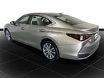 2021 Lexus ES 250