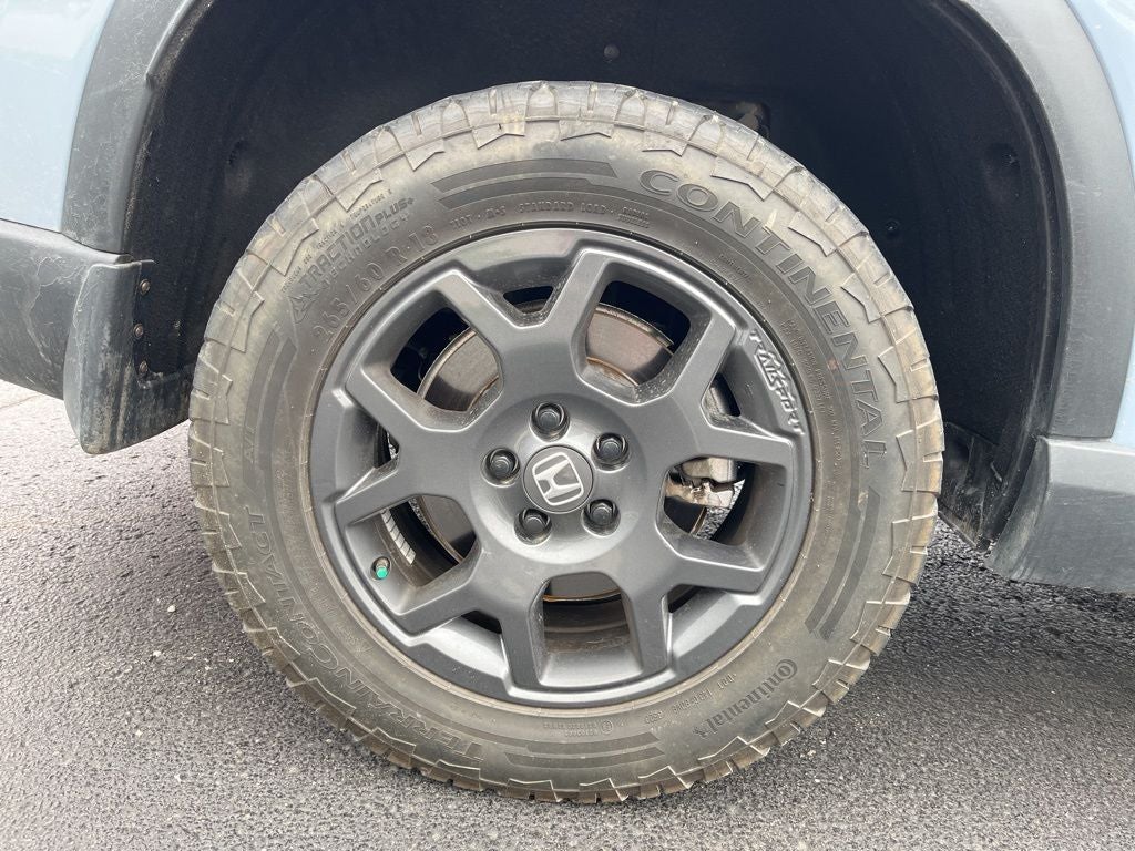 2024 Honda Pilot TrailSport