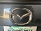 2021 Mazda Mazda CX-9 Carbon Edition