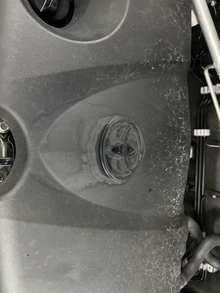 2024 Toyota Venza XLE