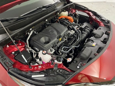 2024 Toyota Venza XLE