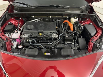 2024 Toyota Venza XLE