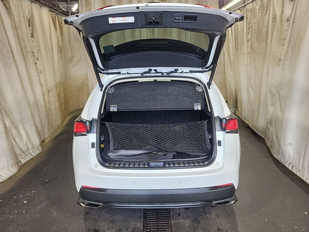 2019 Lexus NX 300 Base