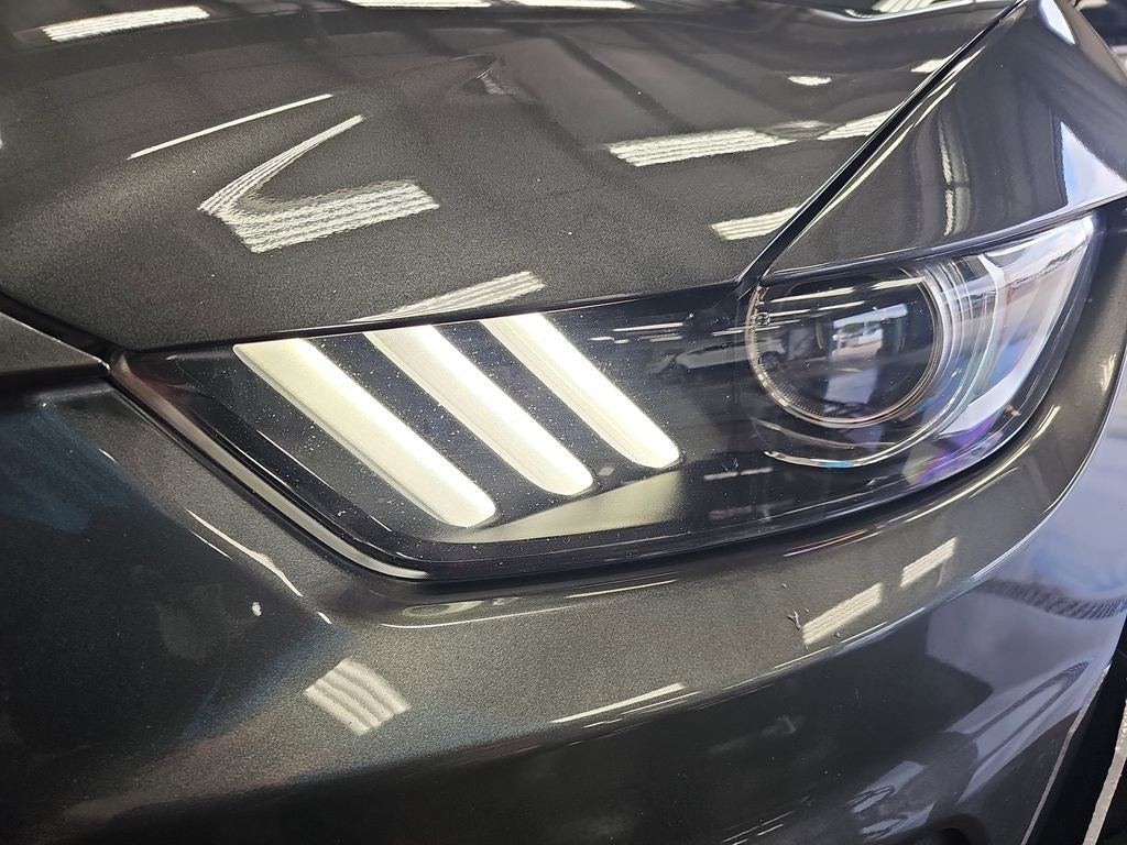 2017 Ford Mustang Shelby GT350R