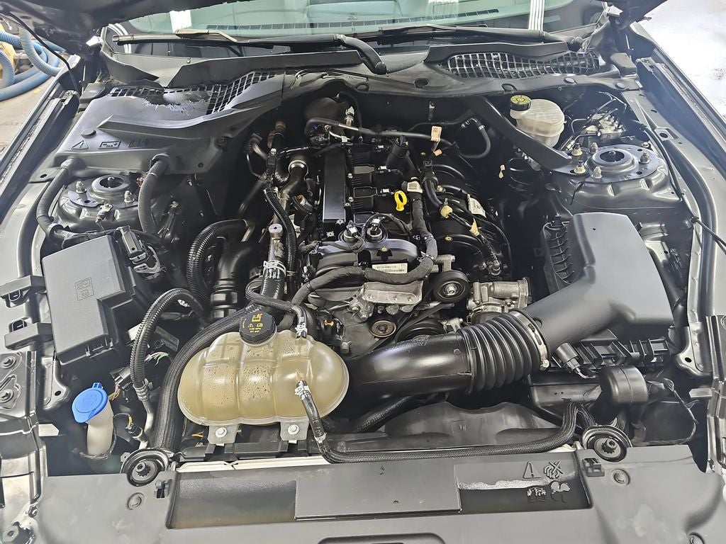 2023 Ford Mustang EcoBoost
