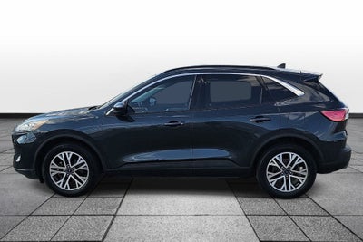 2022 Ford Escape Hybrid SEL