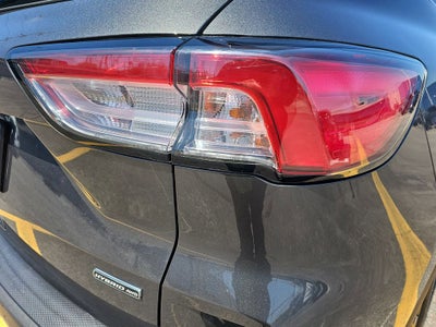2020 Ford Escape Hybrid Titanium