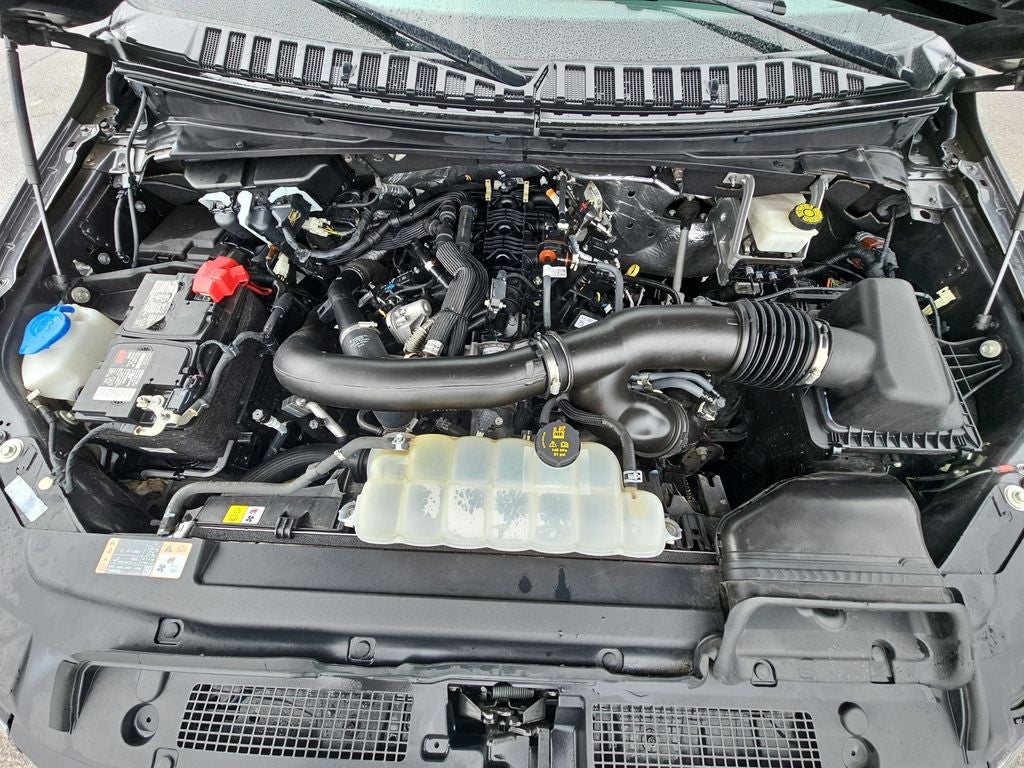 2023 Ford Expedition XLT