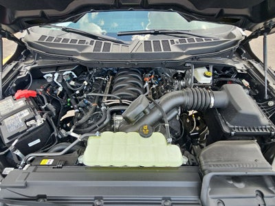 2026 Ford F-150 XLT Black Widow