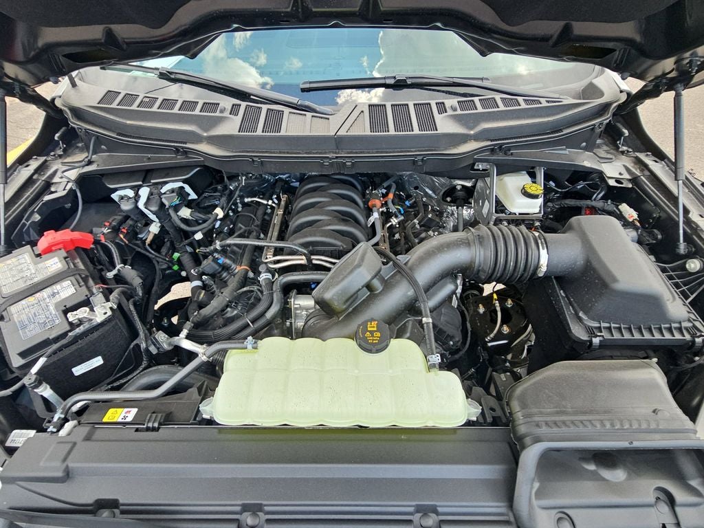 2026 Ford F-150 XLT Black Widow