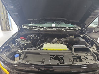 2026 Ford F-150 XLT BLACK WIDOW