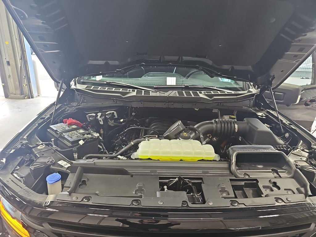 2026 Ford F-150 XLT BLACK WIDOW