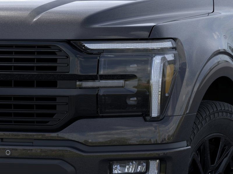 2025 Ford F-150 Platinum 702A
